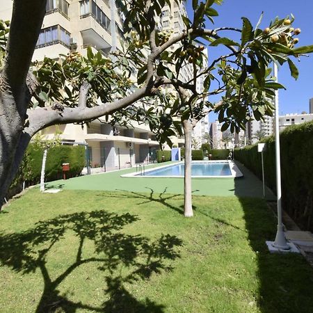 Mariscal 4 - Fincas Arena Benidorm Exterior foto