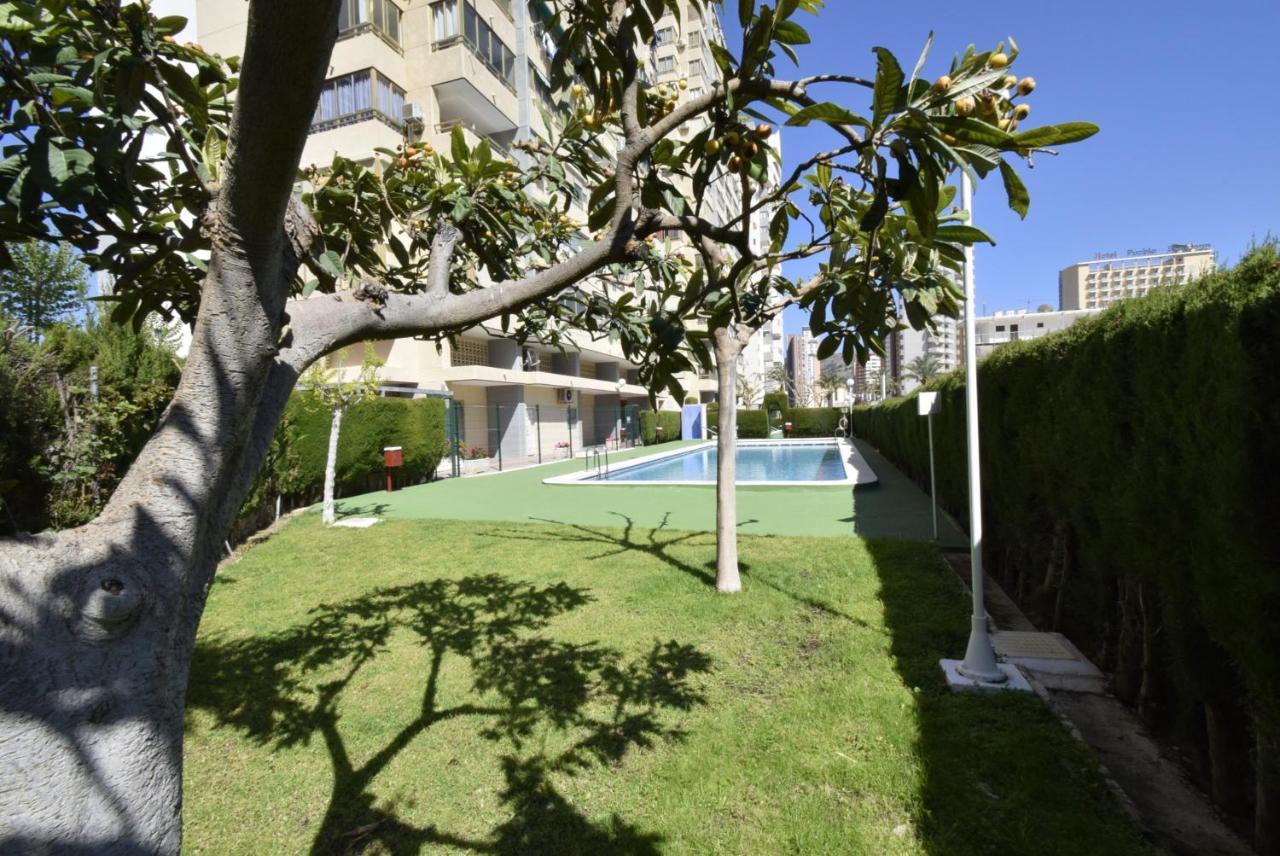 Mariscal 4 - Fincas Arena Benidorm Exterior foto